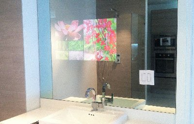 Pilkington MirroView™